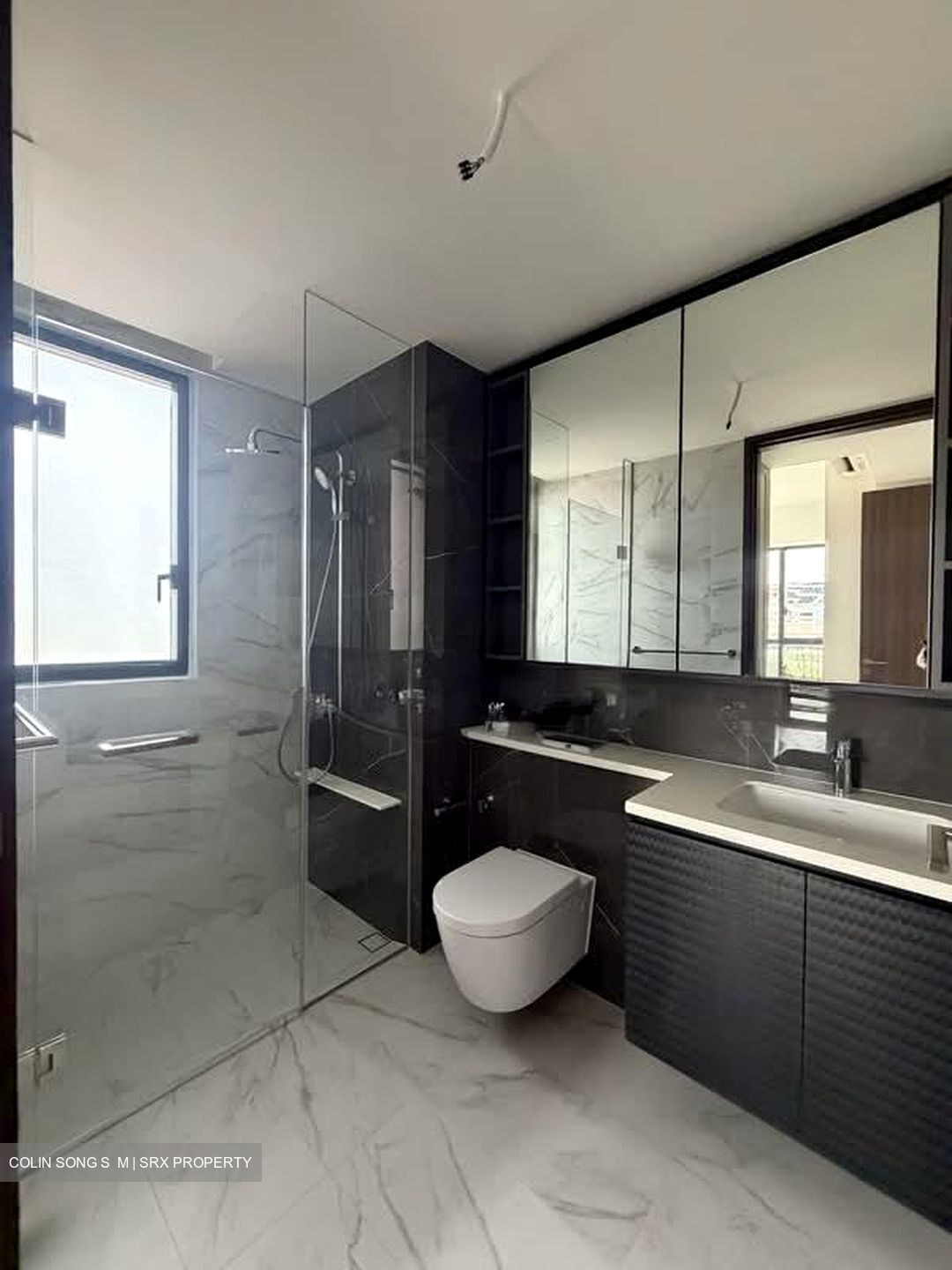 Bartley Vue (D19), Apartment #558867281